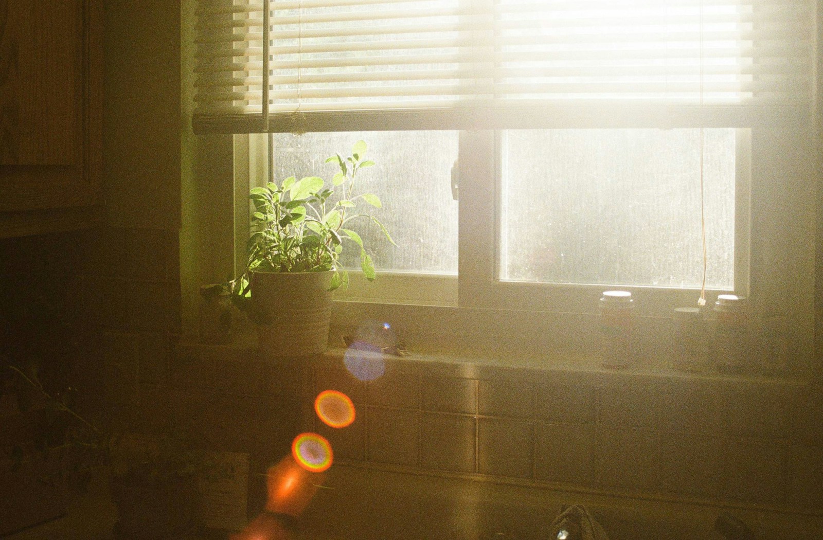 sunlight through kitchen blinds